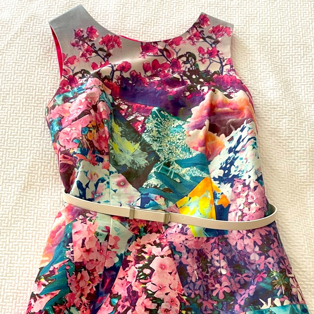 Floral Cynthia Steffe Shift Dress